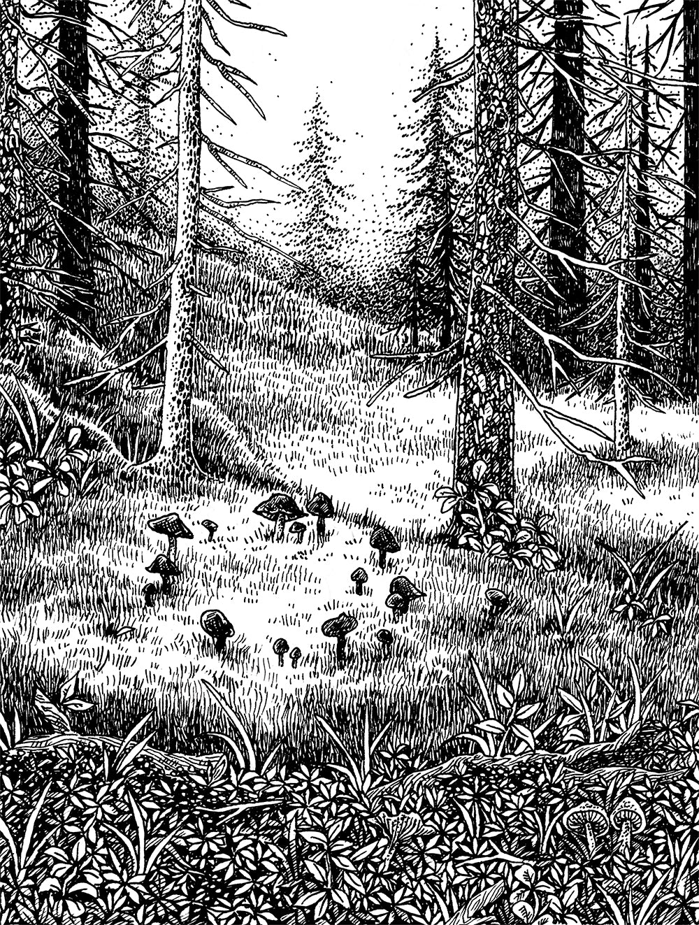 Fairy Ring