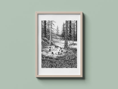 Fairy Ring