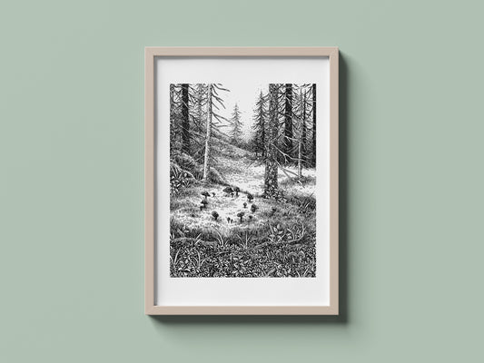 Fairy Ring