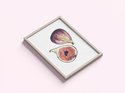 Fig