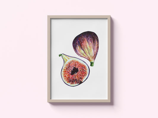 Fig