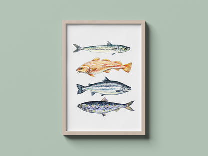 Fish