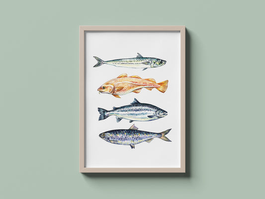 Fish