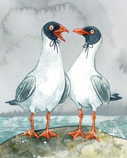 Gulls