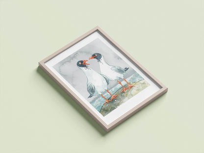 Gulls