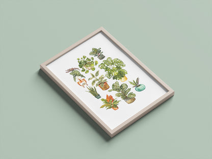 Houseplants
