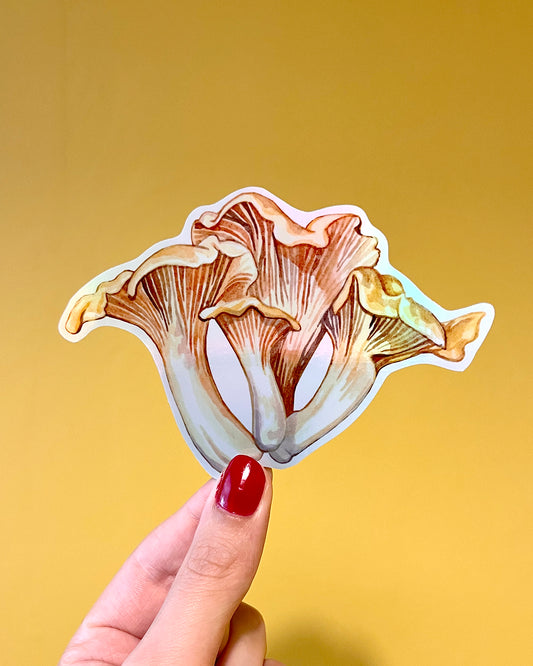 Chantarelle Vinyl Sticker