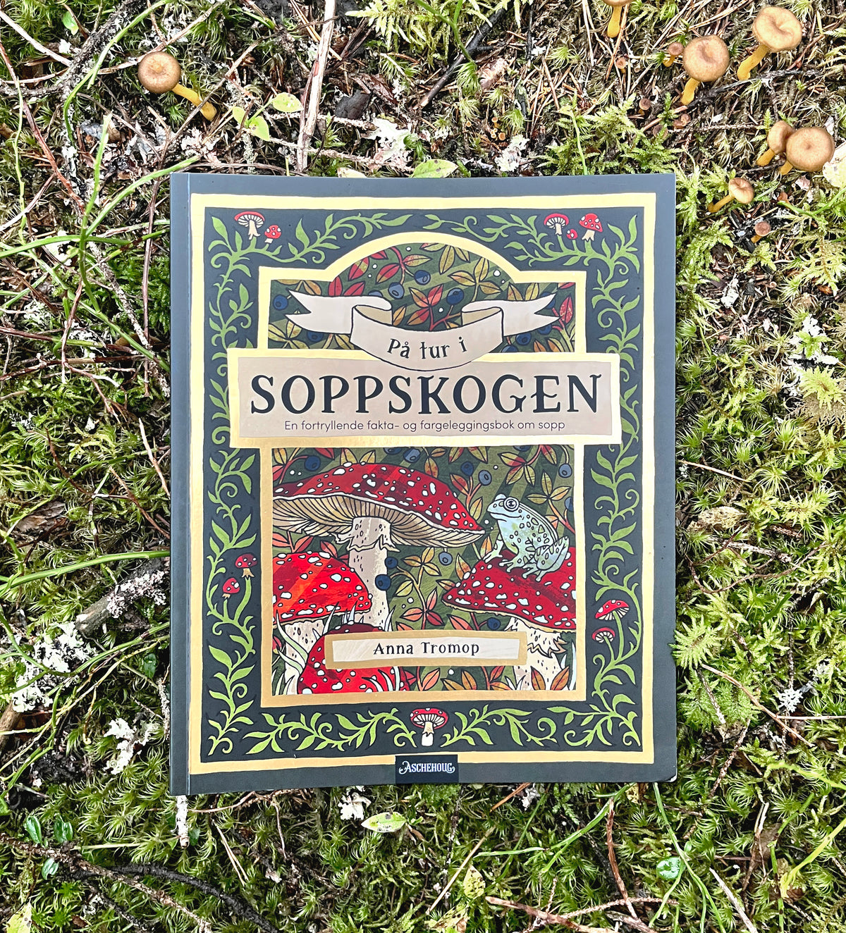 På Tur i Soppskogen
