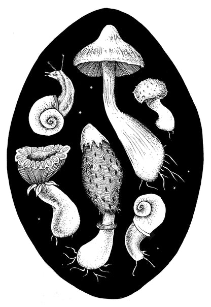 Mushroom Circle