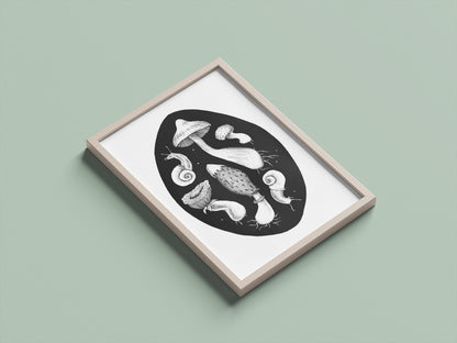 Mushroom Circle