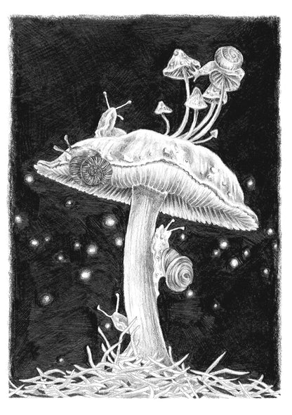 Mushroom Snails