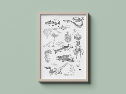 Ocean Sketches