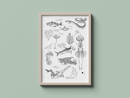 Ocean Sketches