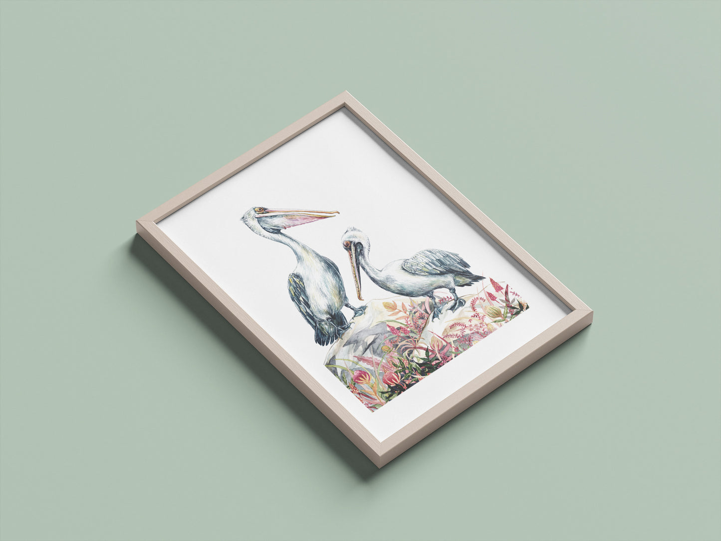 Pelicans