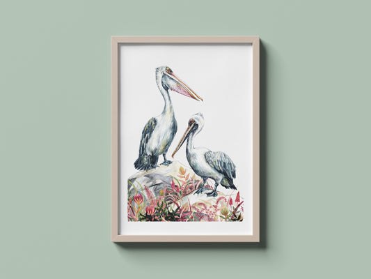 Pelicans