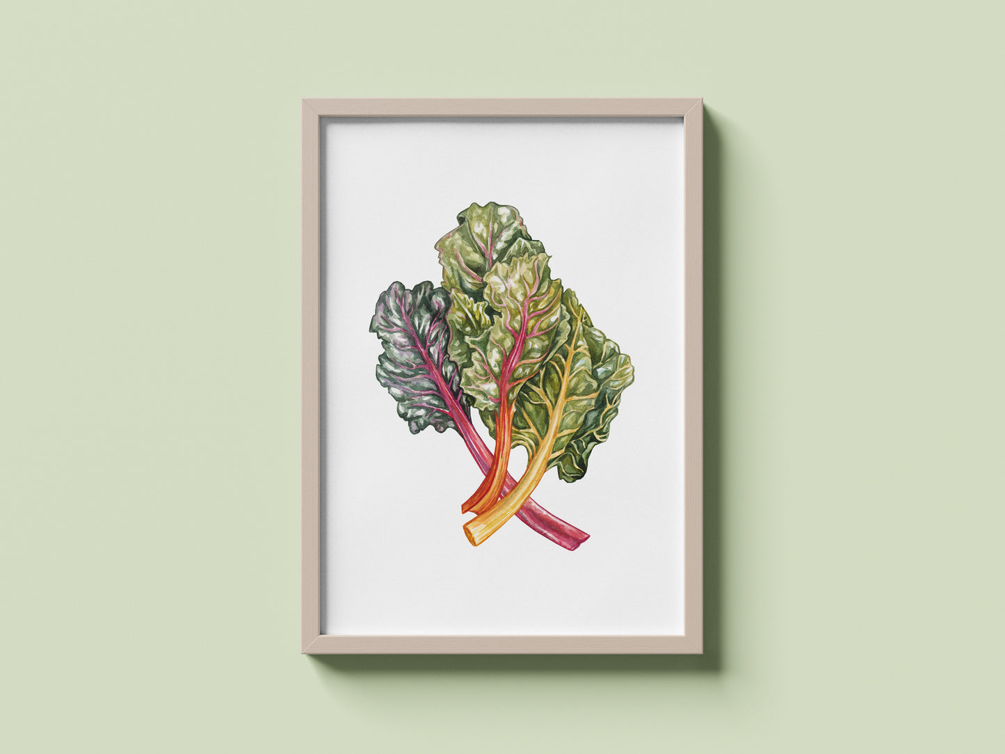 Rainbow Chard