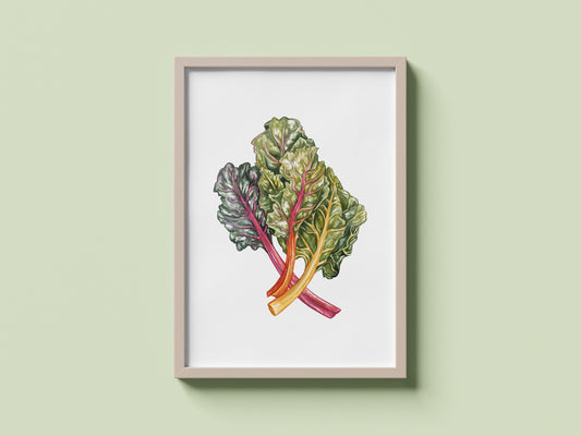 Rainbow Chard