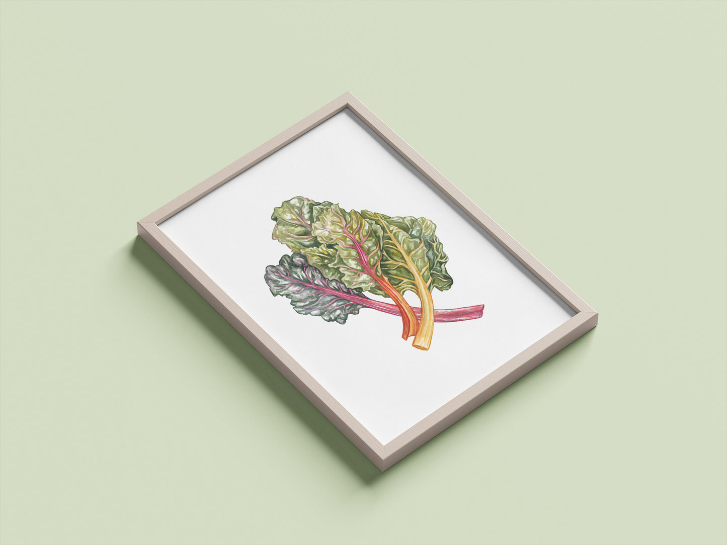 Rainbow Chard