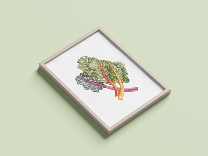Rainbow Chard
