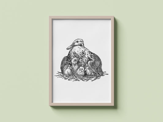 The Ugly Duckling