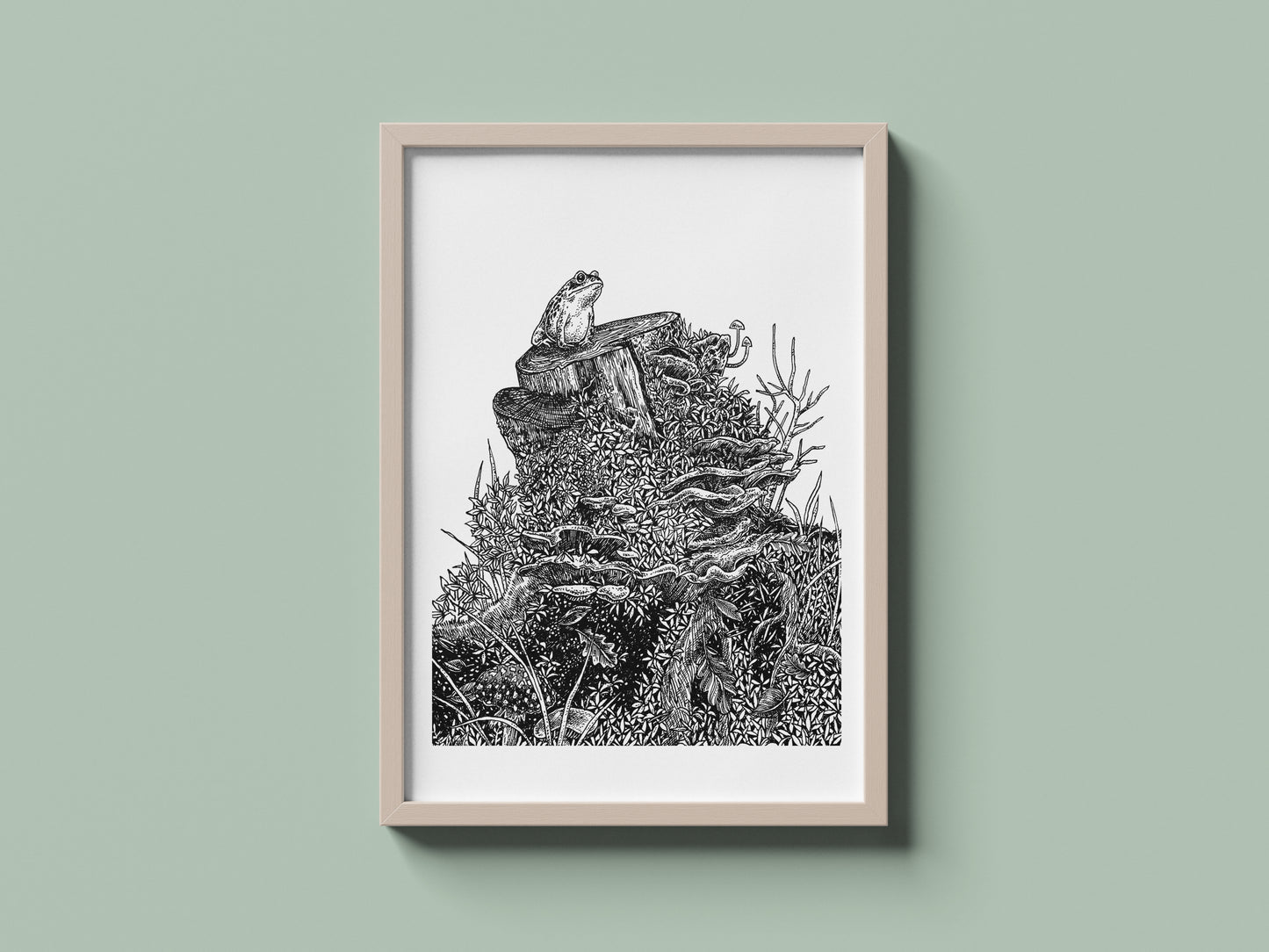 Toad on Tree Stump