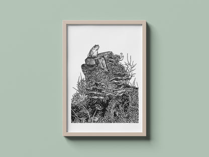 Toad on Tree Stump