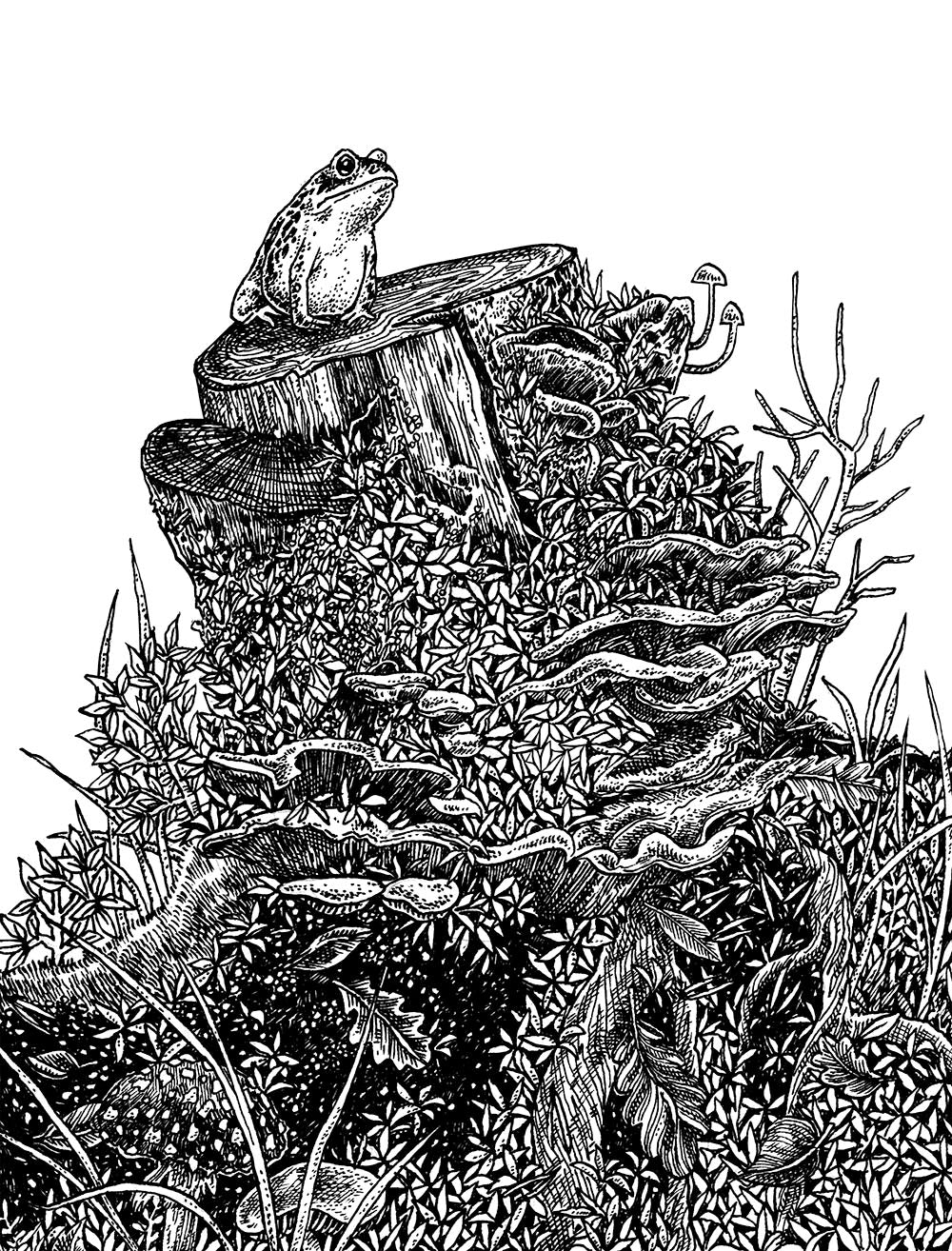 15 Minute Art: Pen & Ink