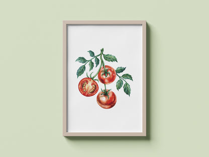 Tomatoes