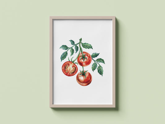 Tomatoes