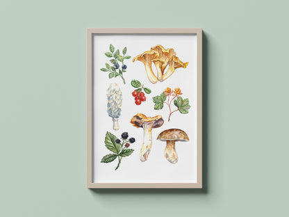 Woodland Forage