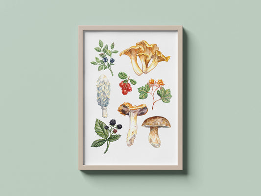 Woodland Forage