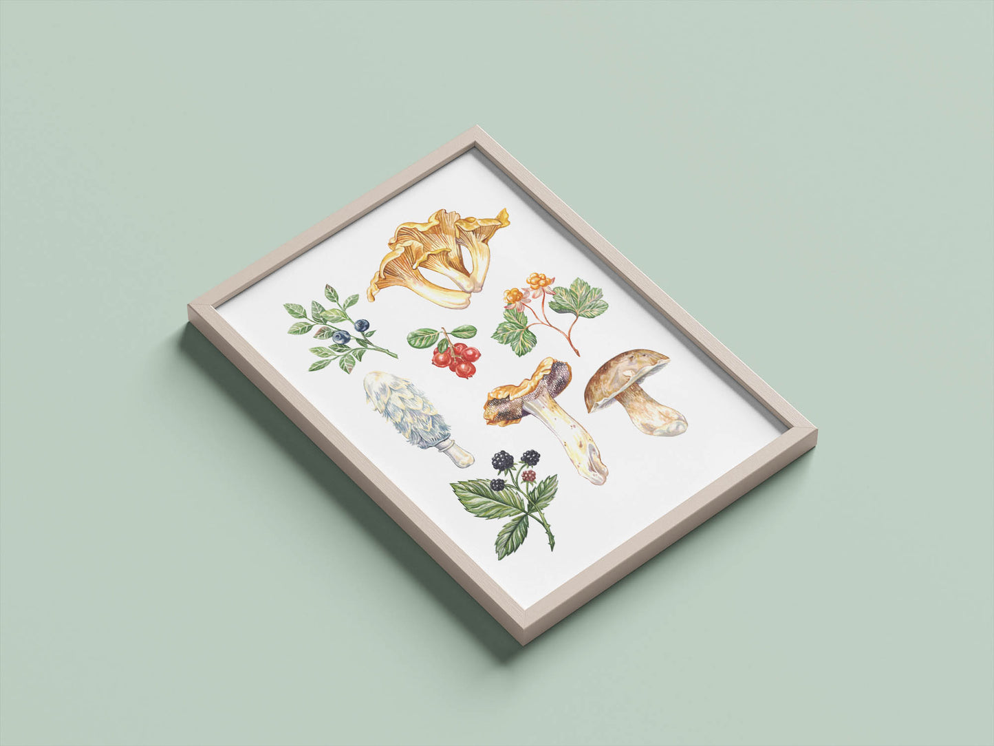Woodland Forage