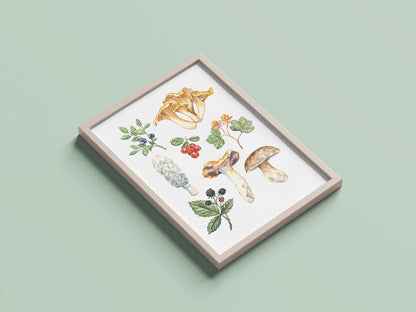 Woodland Forage