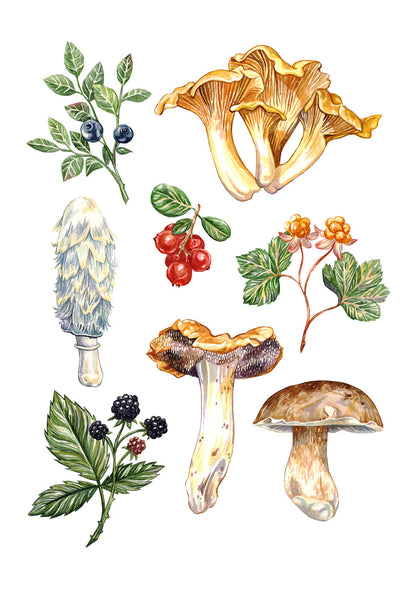 Woodland Forage